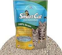 SmartCat Grass